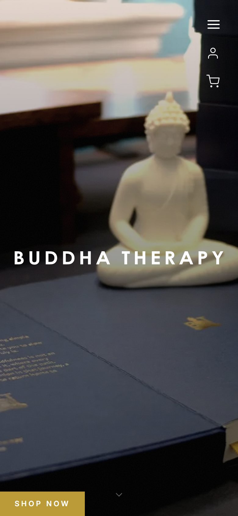 Buddha Therapy on mobile